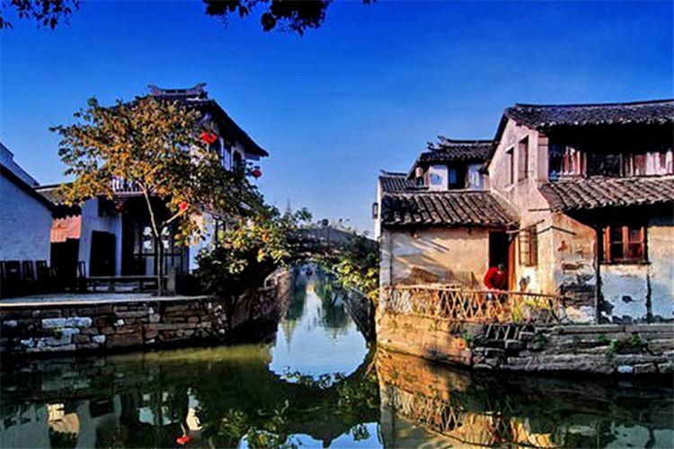 饥饿的松鼠救援